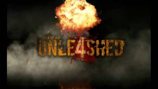 Details Unleashed 3 0 Guide