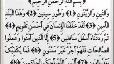 يوسف بن نوح أحمد سورة التين