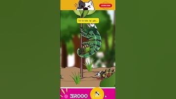 FUNNY VIDEO - Cận cảnh màn săn mồi cực kỳ ấn tượng của TẮC KÈ HOA #funny #shorts #cartoon #animals