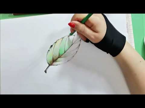 Video: Come Disegnare Una Foglia