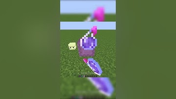 what if i make shulker invisible #shorts