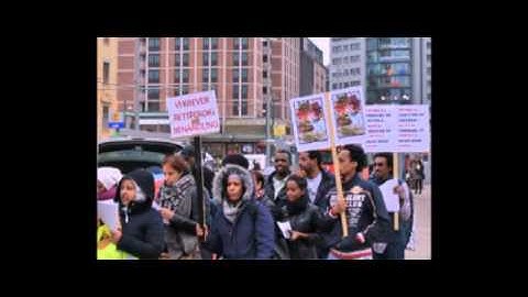 Eritrean Demonstration i Oslo Norway march 16/2015