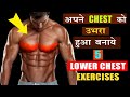 Lower Chest बनाने वाली Best 5 कसरत, Lower Chest Exercise