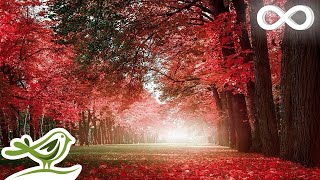 Autumn Colors: Beautiful Relaxing Romantic Piano, Guitar, Violin & Cello Music by Peder B. Helland