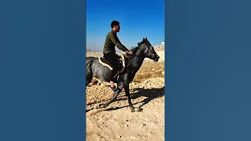 حنا السيف حنا الكيف 