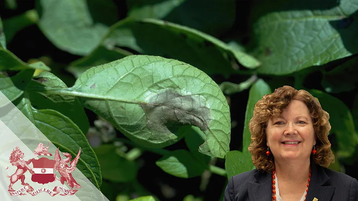 The Potato Plague: A Painfully Interesting Subject...