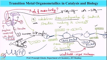 Week 11-Lecture 52 : Olefin Polymerization (Part 13)