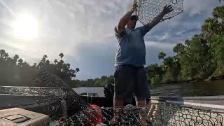 Catching Crabs for Smoked Fish Crab Dip (Catch Clean and Cook)
