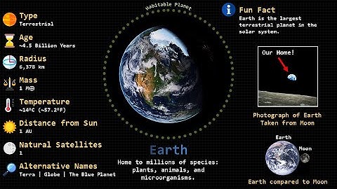 Exploring The Eight Planets Of The Solar System [2024]