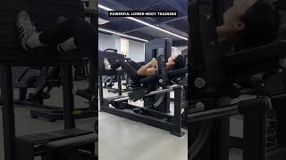 PS2690 Leg Press | Ready for Gym Projects