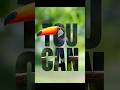 INSANE Canva Text Masking Hack: Level Up Your Designs Fast