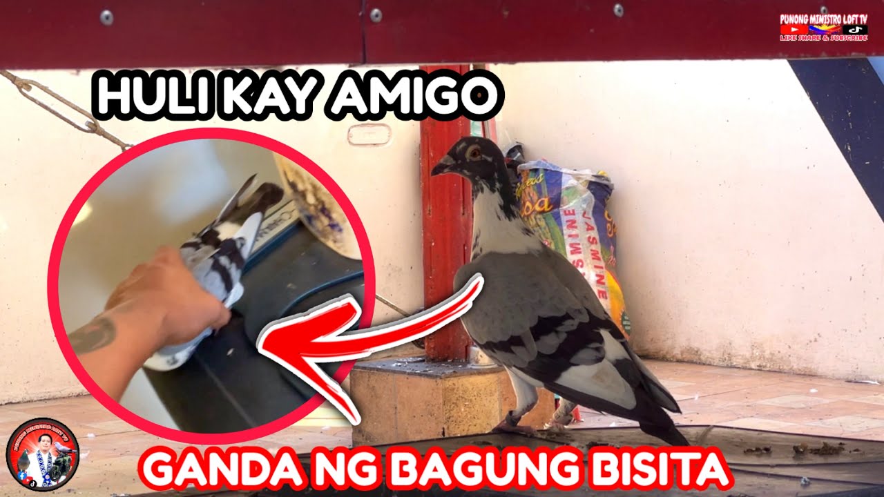 EP1198 HULI KAAA JACKPOT GANDA NG DAGIT OFF COLOR!