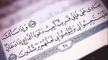 حالات واتس اب تلاوة خاشعة ❤️❤️