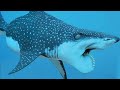 15 most rare shark species hidden in the ocean