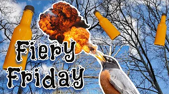 Robin's Homemade Bahamian Goat Pepper Hot Sauce PERFECTED? | Fiery Friday SPECIAL EDITION!