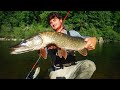 Pche du brochet dans la loire  coup du soir au swimbait en haute loire