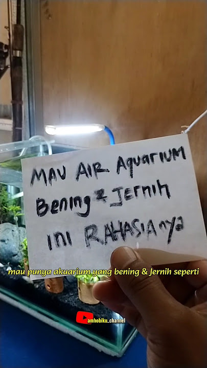 Bikin Air Aquarium Jadi Bening #akuarium #aquarium #aquascape