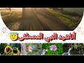 أناشيد مدح النبي محمد ﷺ 