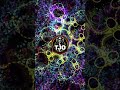 Bass House | Tech House | 2026 | DJ T.Jo | Mix 3 #djmix #basshouse #techhouse #housemusic