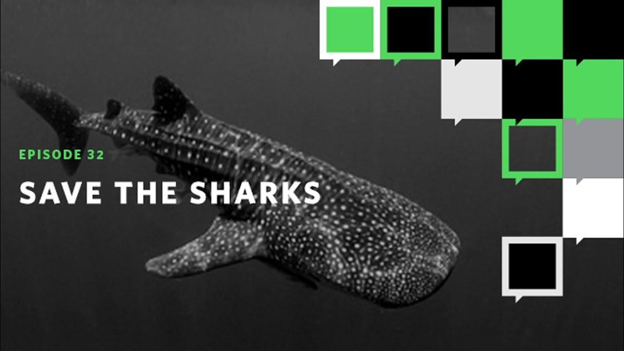 Save the Sharks