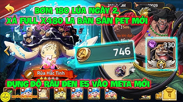 Huyền Thoại Hải Tặc - Bơm 180 Lúa Ngày 2, Xả Full X480 La Bàn Săn Pet Mới, Đụng Độ RÂU ĐEN E5  META