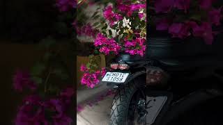 Billori 🎀 | Panther 350 | #hunter350 #royalenfield #copyrightfree