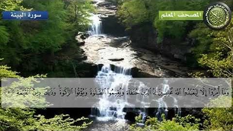 سورة البينة   المصحف المعلم للأطفال   الشيخ محمد الصديق المنشاوي
