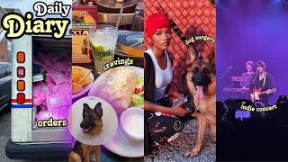 DAILY DIARY:  MY PUPPY NEEDS SURGERY + PREGNANCY CRAVINGS? +  INDIE CONCERT  + SMALL BUSINESS ORDERS screenshot 5