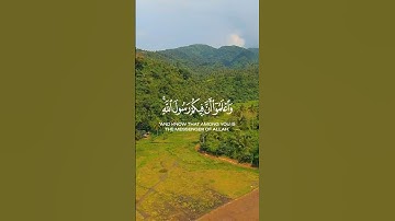 #سورة_الحجرات #القارئ_طارق_محمد #لا_اله_الا_الله #اللهم_صل_على_نبينا_محمد #quransbeauty1