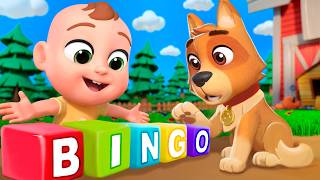 bingo farm version newborn baby songs nursery rhymes