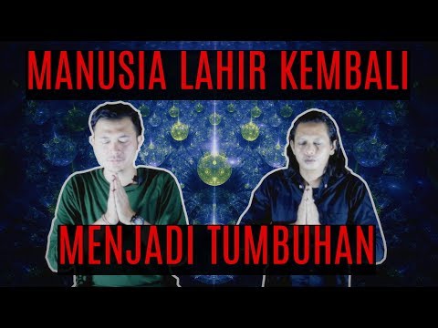 Video: Apa Yang Tidak Kita Ketahui Mengenai Reinkarnasi Dalam Agama Hindu - Pandangan Alternatif