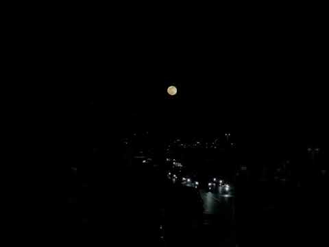 كلك نظر ياسارية في ليلة قمر