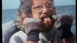 Mv  Bryan Hylanditsy Bitsy Teeny Weeny Yellow Polka Dot Bikini
