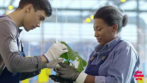 FANUC UK | Bot-Hive | The UK