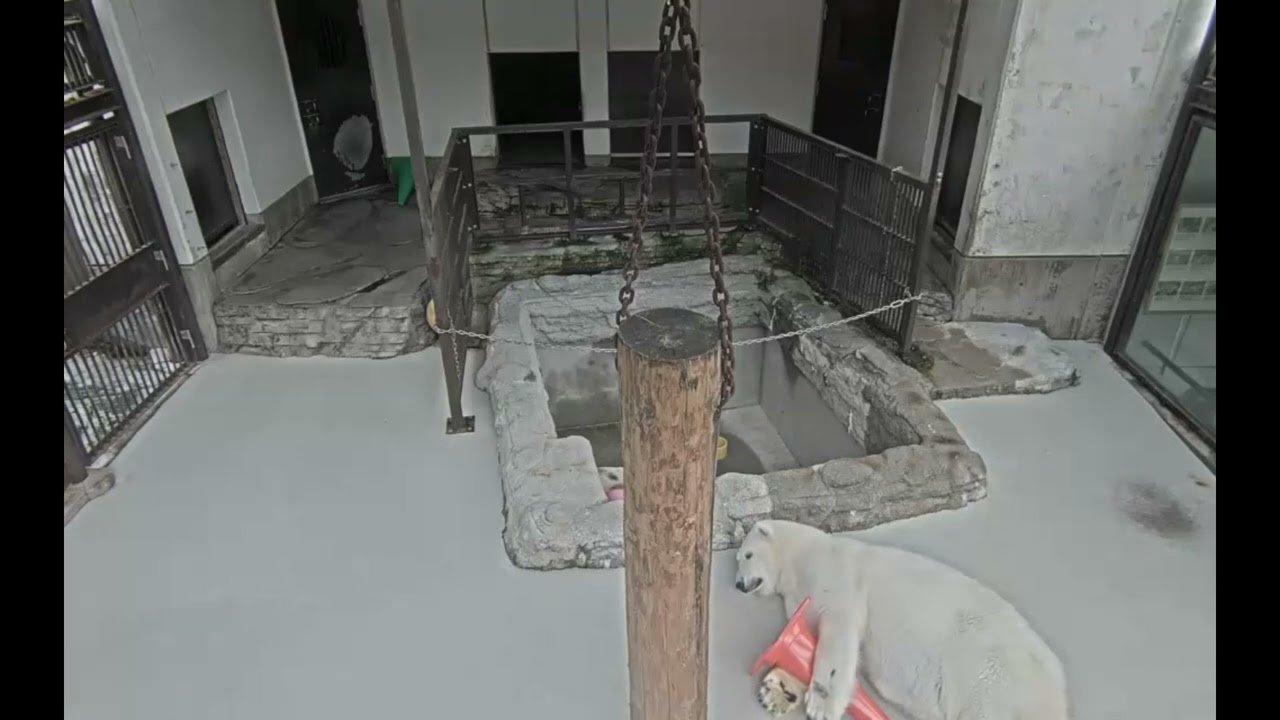 2025年1月14日のピース