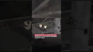 Погоня в Кокшетау: пьяный водитель BMW пытался скрыться от полиции и попал в ДТП