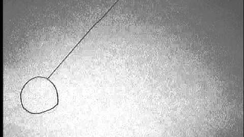 Pendulum 2D Animated