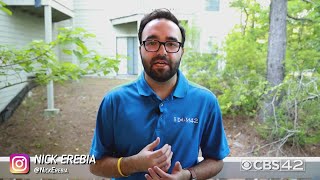 The New Normal: How digital and social media has impacted businesses during COVID-19