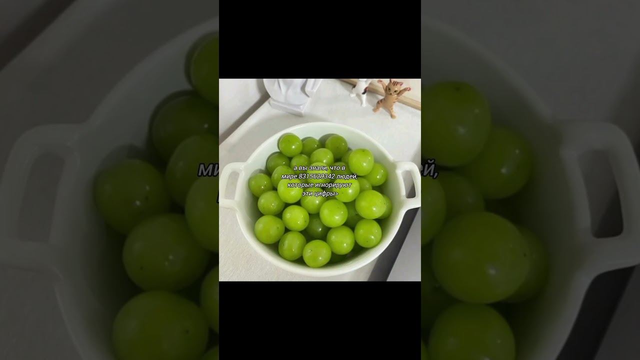 а вы знали ? #рекомендации #потрендам #популярное #cat #оформленияторта #кондитер #shorts