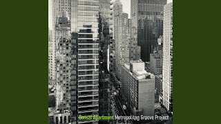 Nothing Breaks Like a Heart - Metropolitan Groove Project