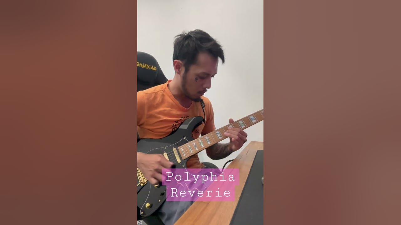Polyphia - Reverie outro covered