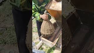 Watching 100,000 Bees flow like water into a hive✨ #beekeeping #farmlife