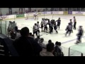 Topeka roadrunners clear the bench vs jr blues nahl hockey line brawl 12812