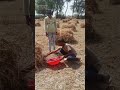 Ankit Jay ka video real viral #cortos #cortos 😍😍😂😂
