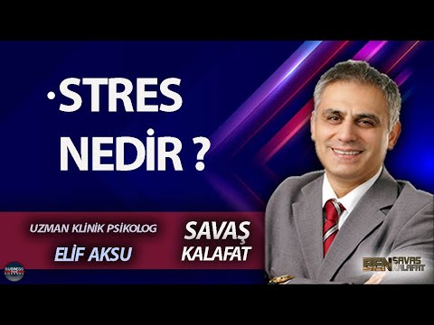 BEN SAVAŞ KALAFAT l ELİF AKSU: STRES NEDİR ?