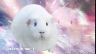 Guinea Pig Transcendence