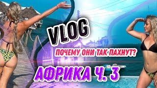 VLOG АКТРИСЫ ХХХ▶Он издевается надо мной. Пахну как африканцы▶LOLA TAYLOR