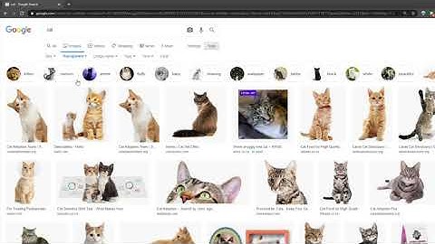 Google: Finding transparent images properly (No background)