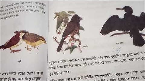 Class 4 Bangla 1st Paper Lecture 3 page 61 Sarmin Afroz