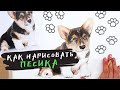 🐶  Как нарисовать собаку? Пошаговый урок